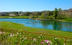 Golf course vista